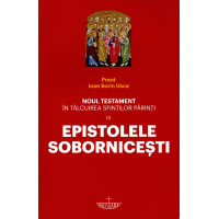 Noul Testament în tâlcuirea Sfinților Părinți. Vol. IX - Epistolele Sobornicești Noul Testament în tâlcuirea Sfinților Părinți. Vol. IX - Epistolele Sobornicești